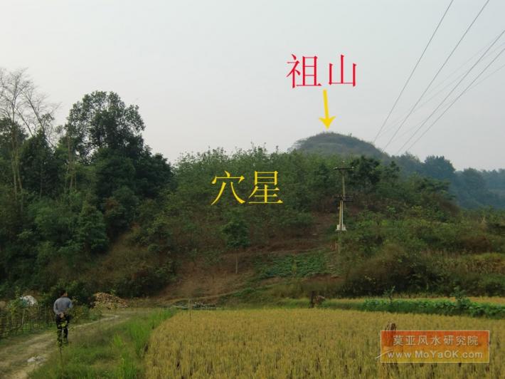 此祖坟风水系原中央政治局常委罗家发坟,其风水系一龙胆穴星,堂局阔