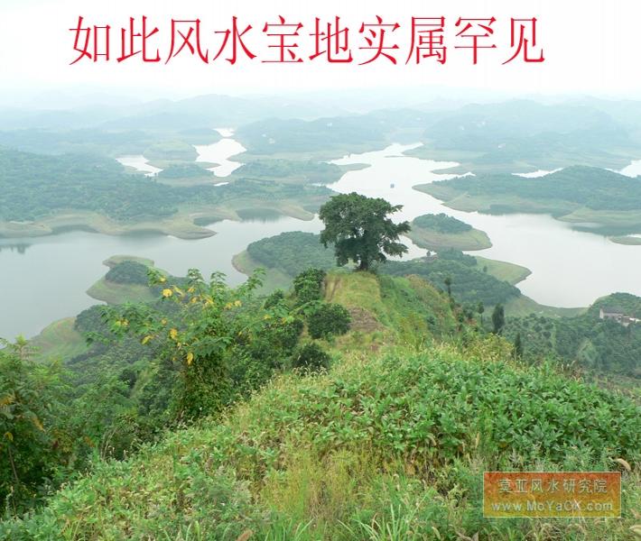 射手和摩羯谁拿下谁