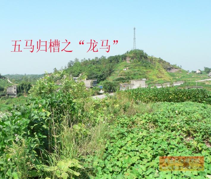 合川风水宝地——五马归槽