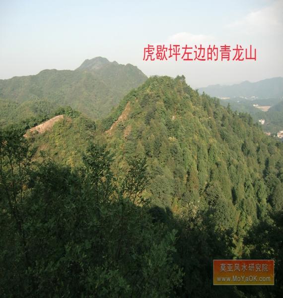 虎歇坪左边的青龙山